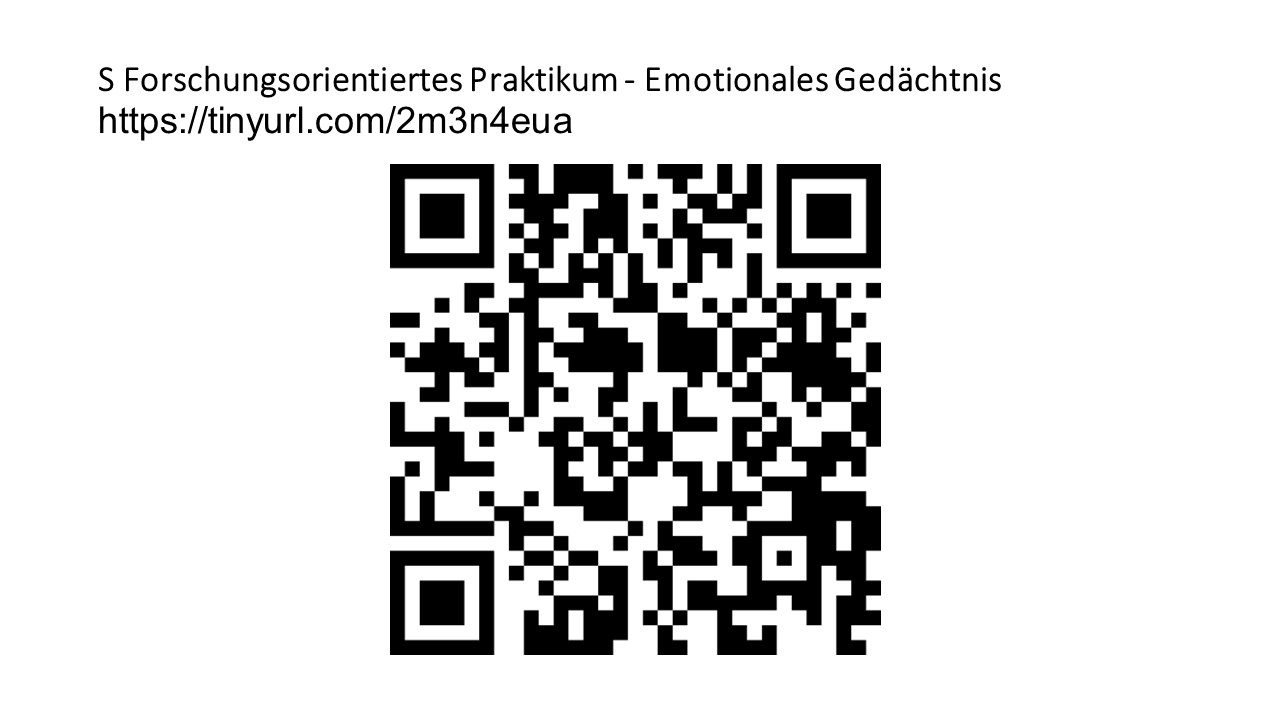 Attachment Evaluation_S Forschungsorientiertes Praktikum - Emotionales Gedächtnis.jpg